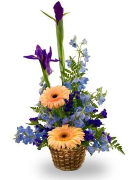 A basket arrangement for a baby boy