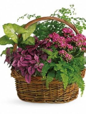 Secret Garden Basket